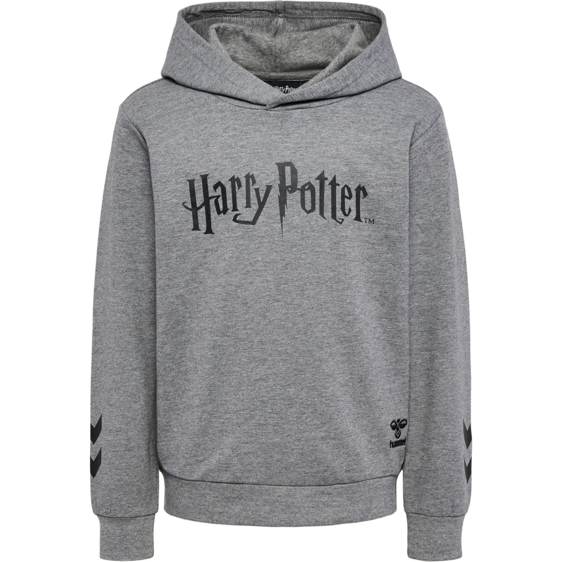 Sudadera con capucha para niños Hummel Harry Potter