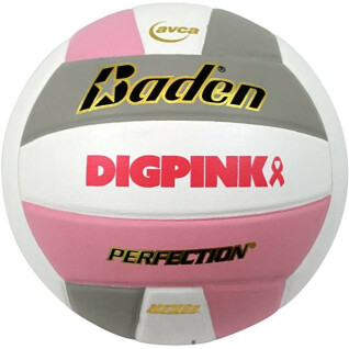 Balón de Voleibol Baden Sports Perfection