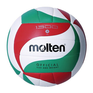Balón de voleibol Molten 1300
