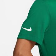 Camiseta Nike Park20