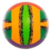 Balón de voleibol Rox Alpha